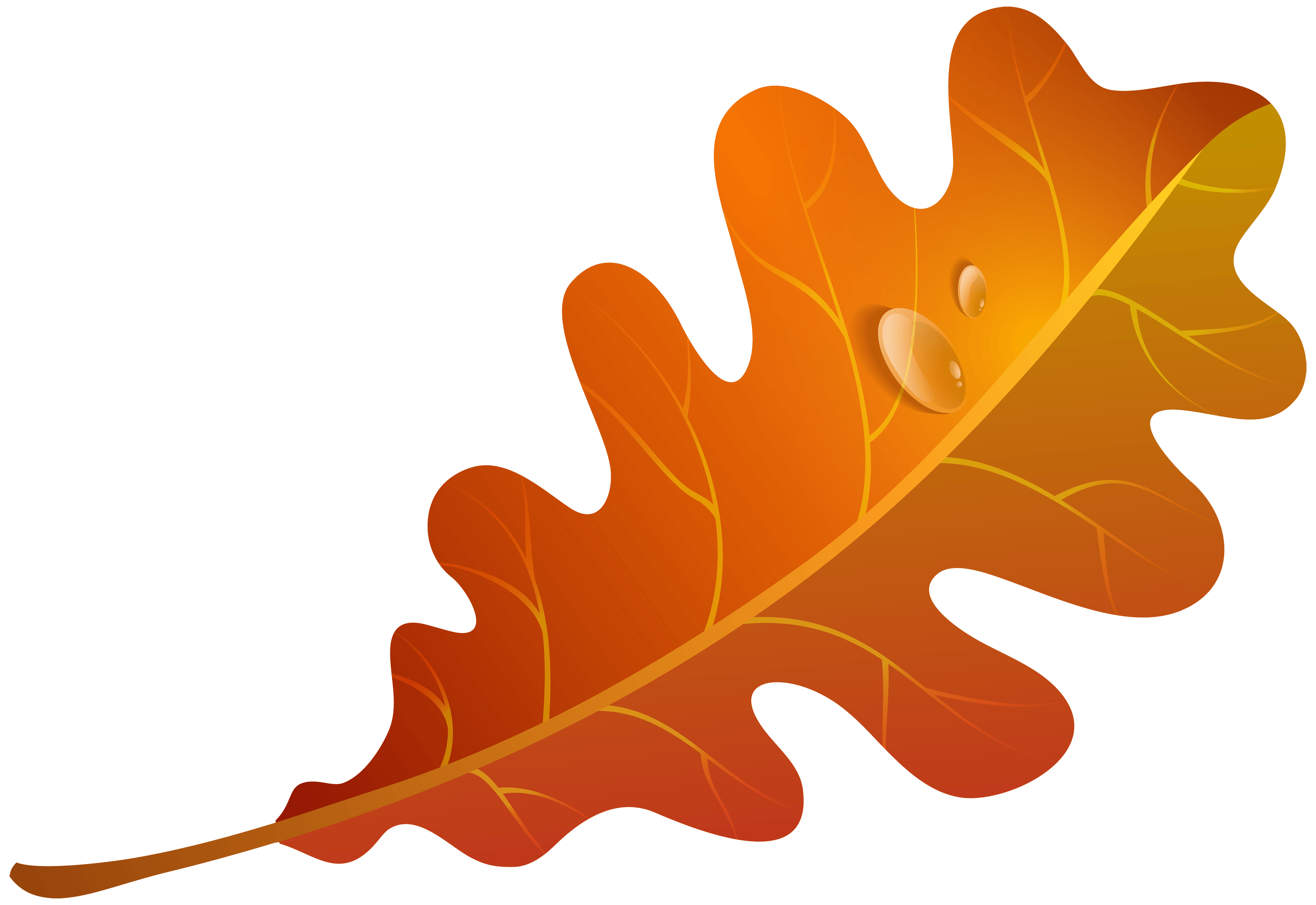September clipart colourful leave. Leaves cliparts free download