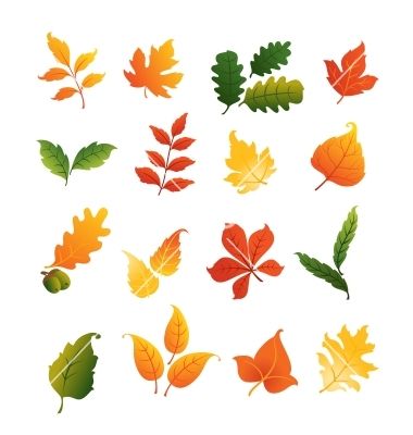 september clipart colourful leave