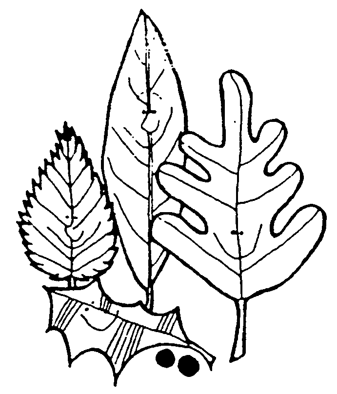 september clipart dried leave