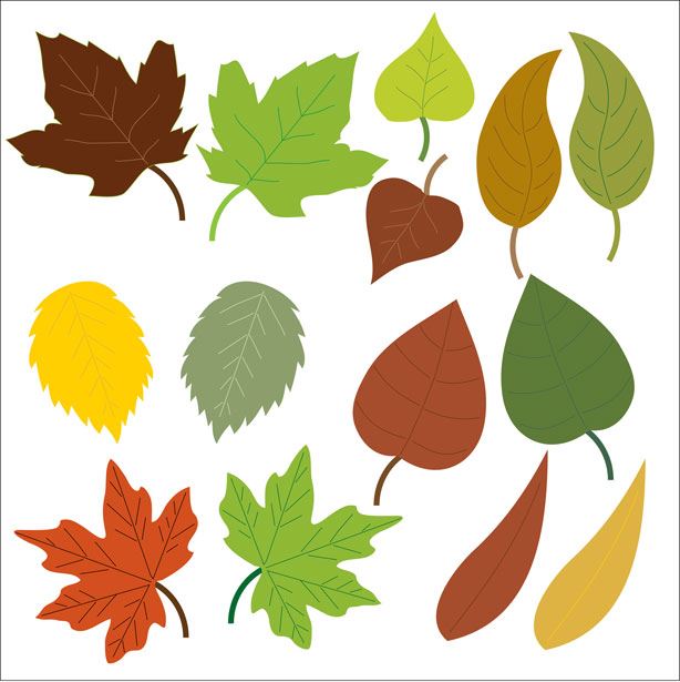 september clipart green fall leaves