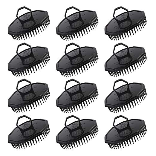 shampoo clipart hair brush comb