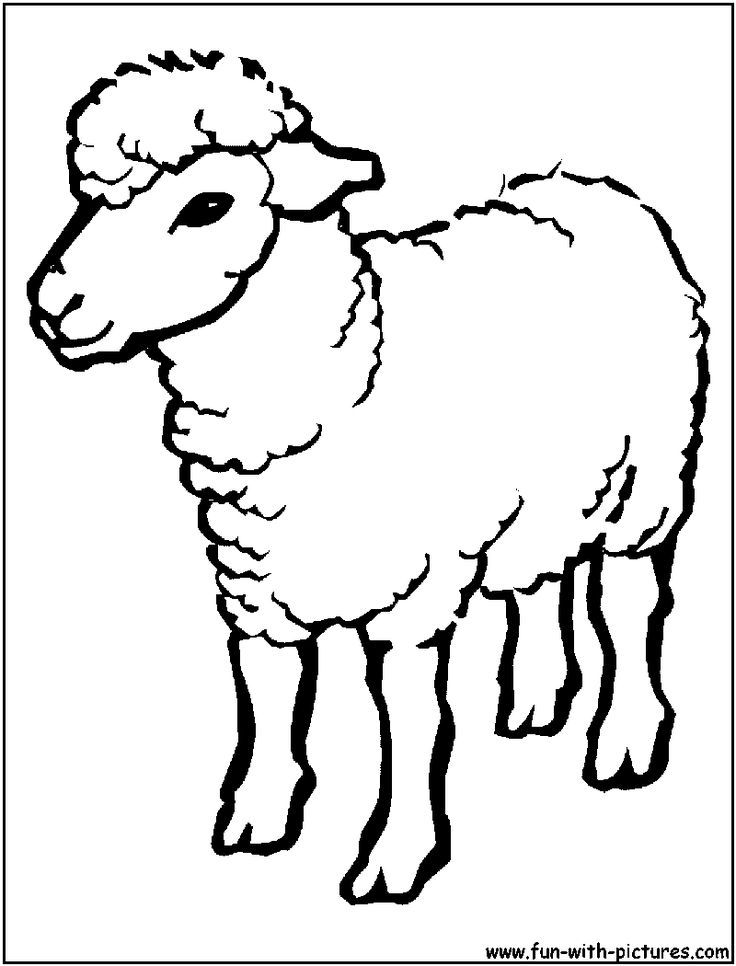 Sheep clipart coloring page. Lamb outline holidays farm