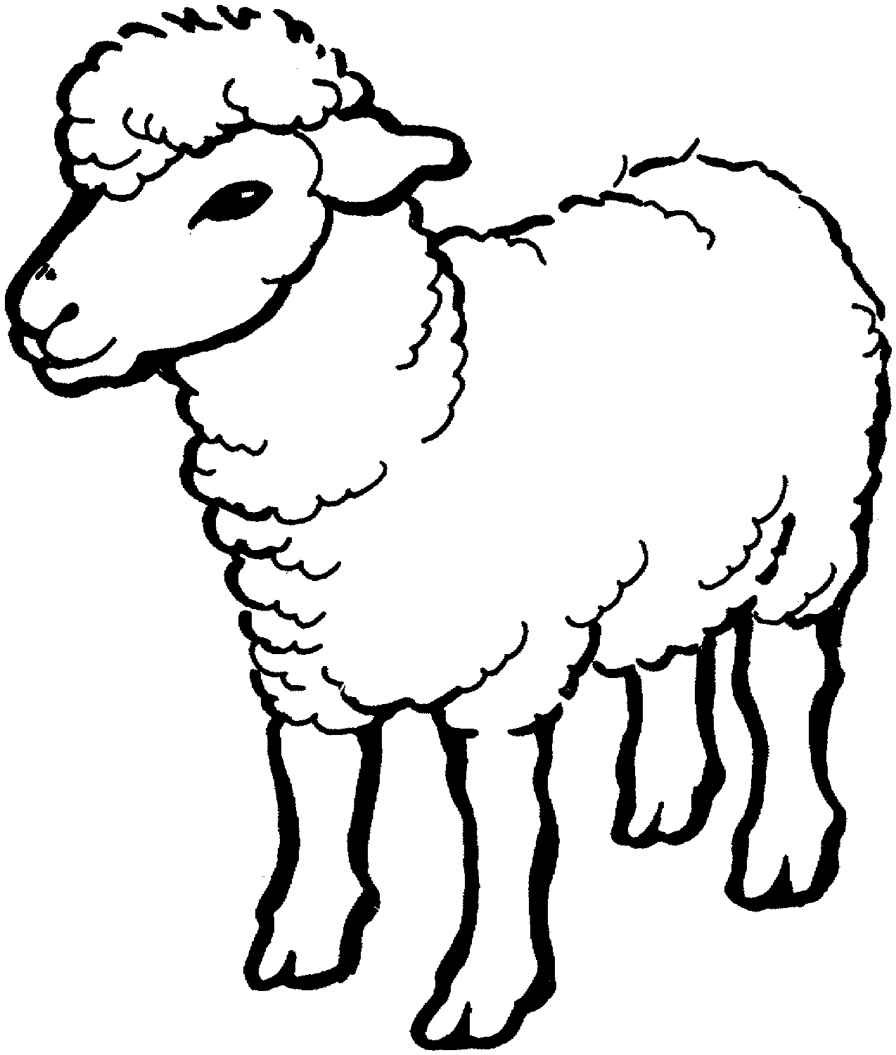 sheep clipart coloring page