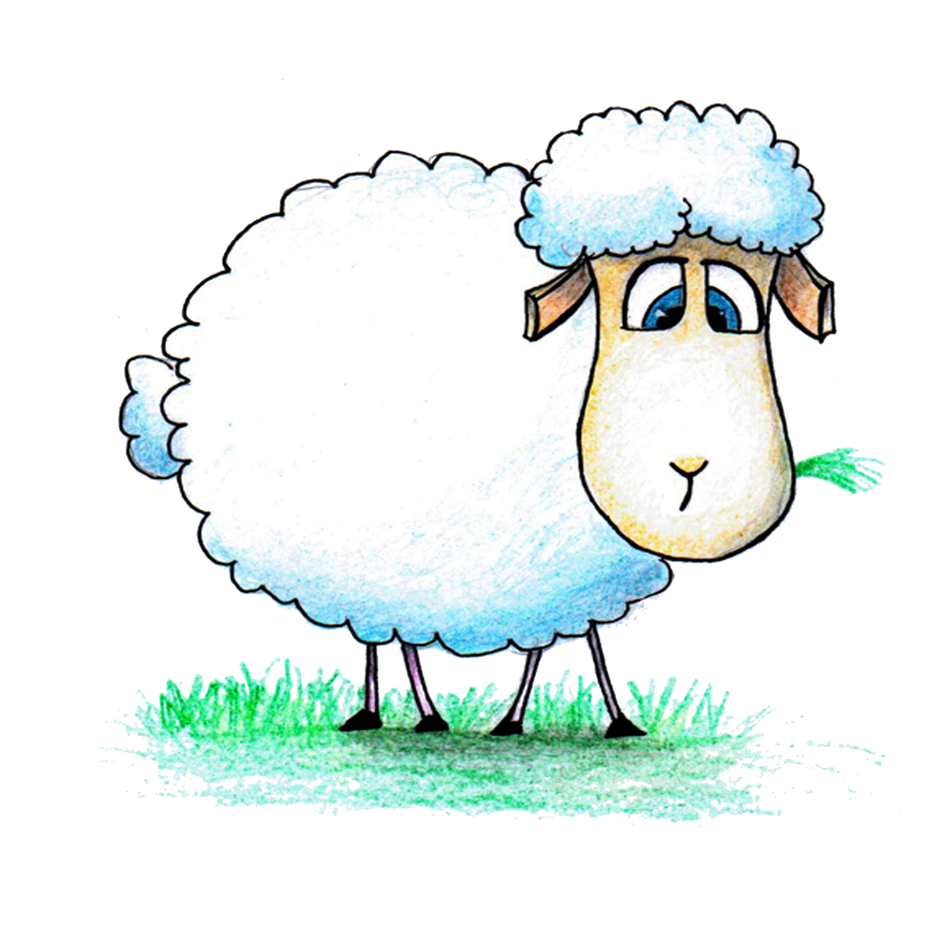 sheep clipart eid ul adha