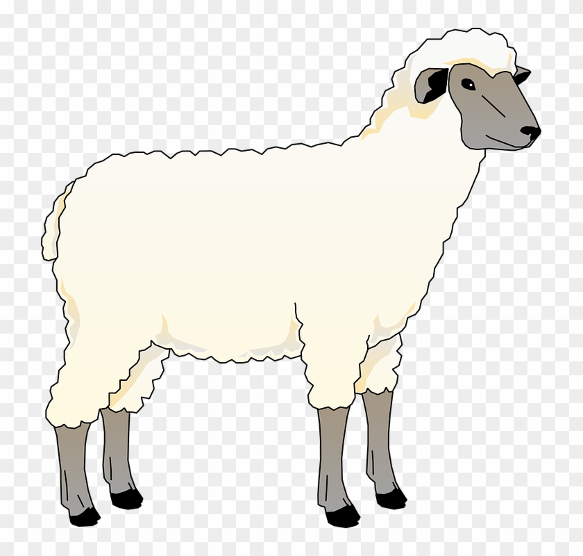 sheep clipart farm animal