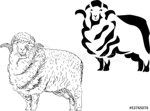 sheep clipart merino sheep