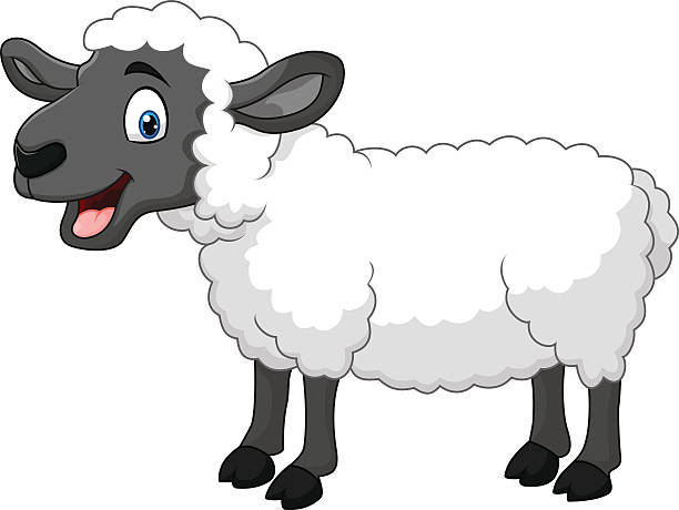 clipart sheep 2 sheep