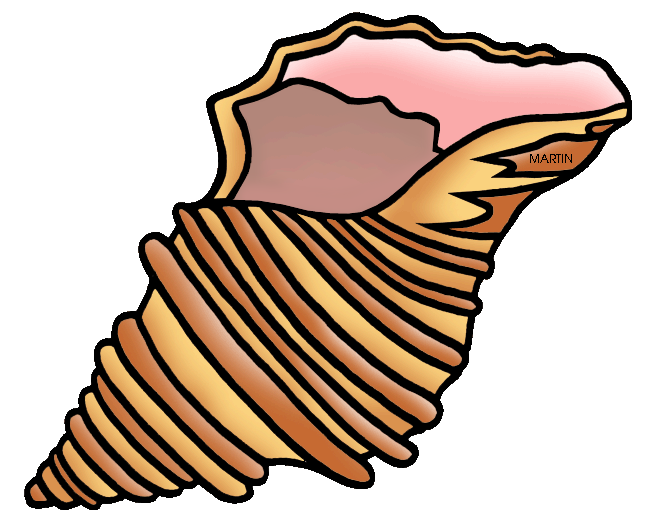 Shell clipart. Music united states clip