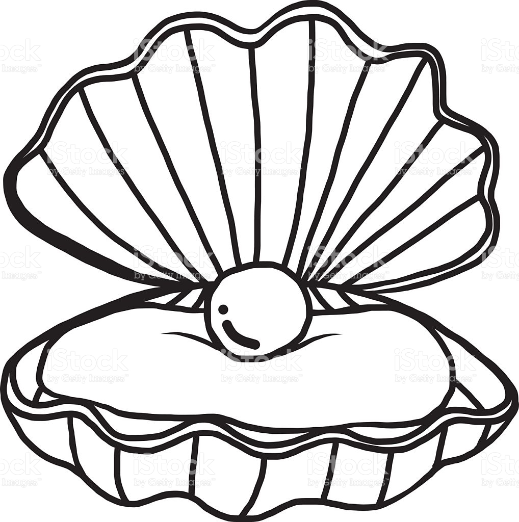 shell clipart black and white