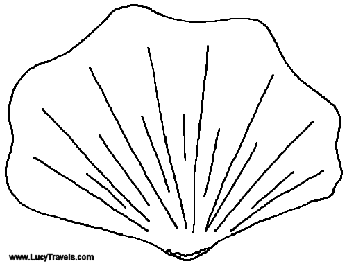shell clipart cockle drawing