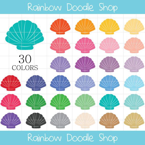 shell clipart colorful