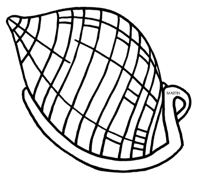 shell clipart drawing