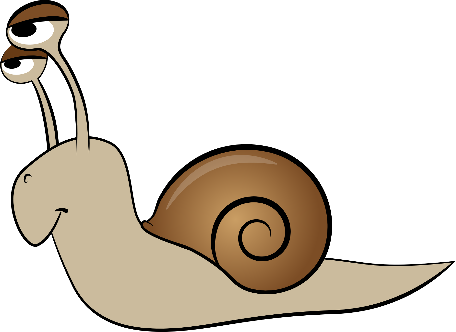 shell clipart gastropod