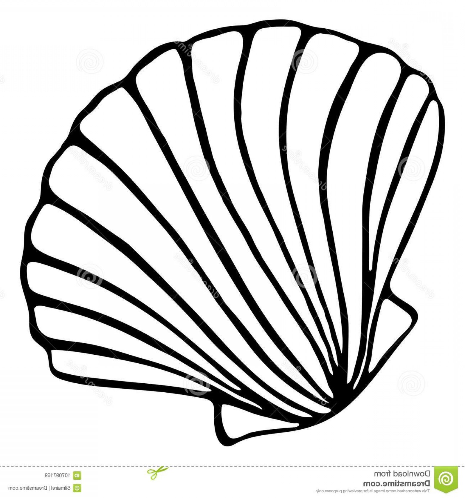 shell clipart line