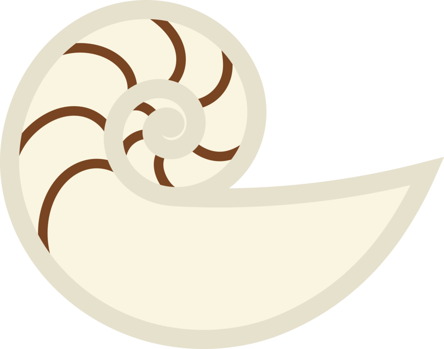 Cutie mark by nautile. Shell clipart nautilus