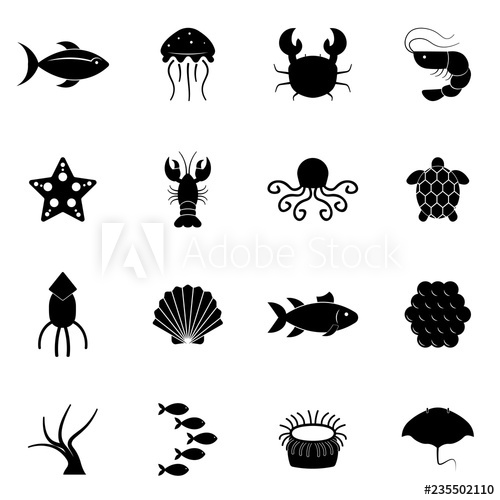 shell clipart sea foods