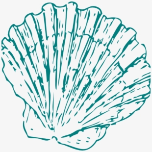 shell clipart sea side