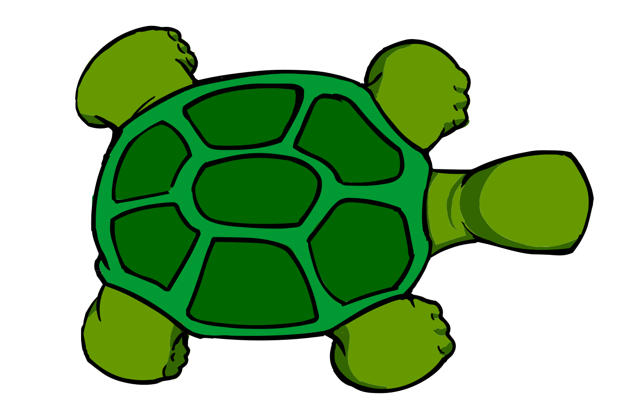 Shell clipart sea turtle. shell clipart sea turtle clipart, transparent - 1...
