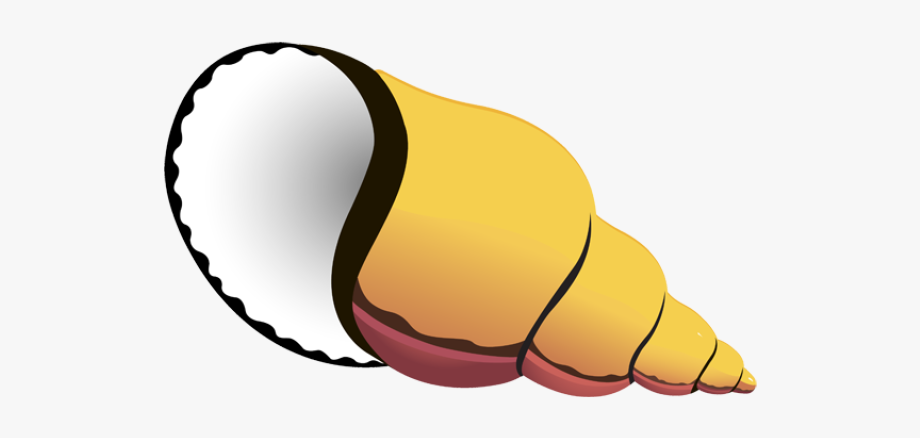 shell clipart shell hermit crab