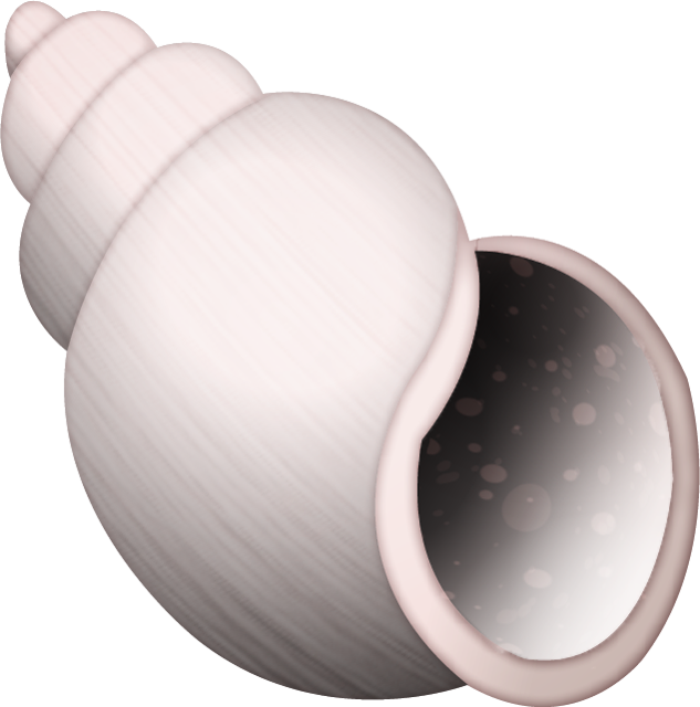 Download emoji image in. Shell clipart shell spiral