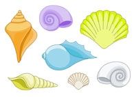  sea shells clip. Shell clipart shellsclip