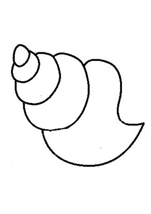 shell clipart template