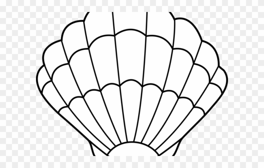 Original clip art png. Shell clipart transparent background