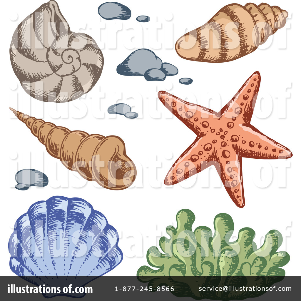 Shells illustration by visekart. Shell clipart under sea