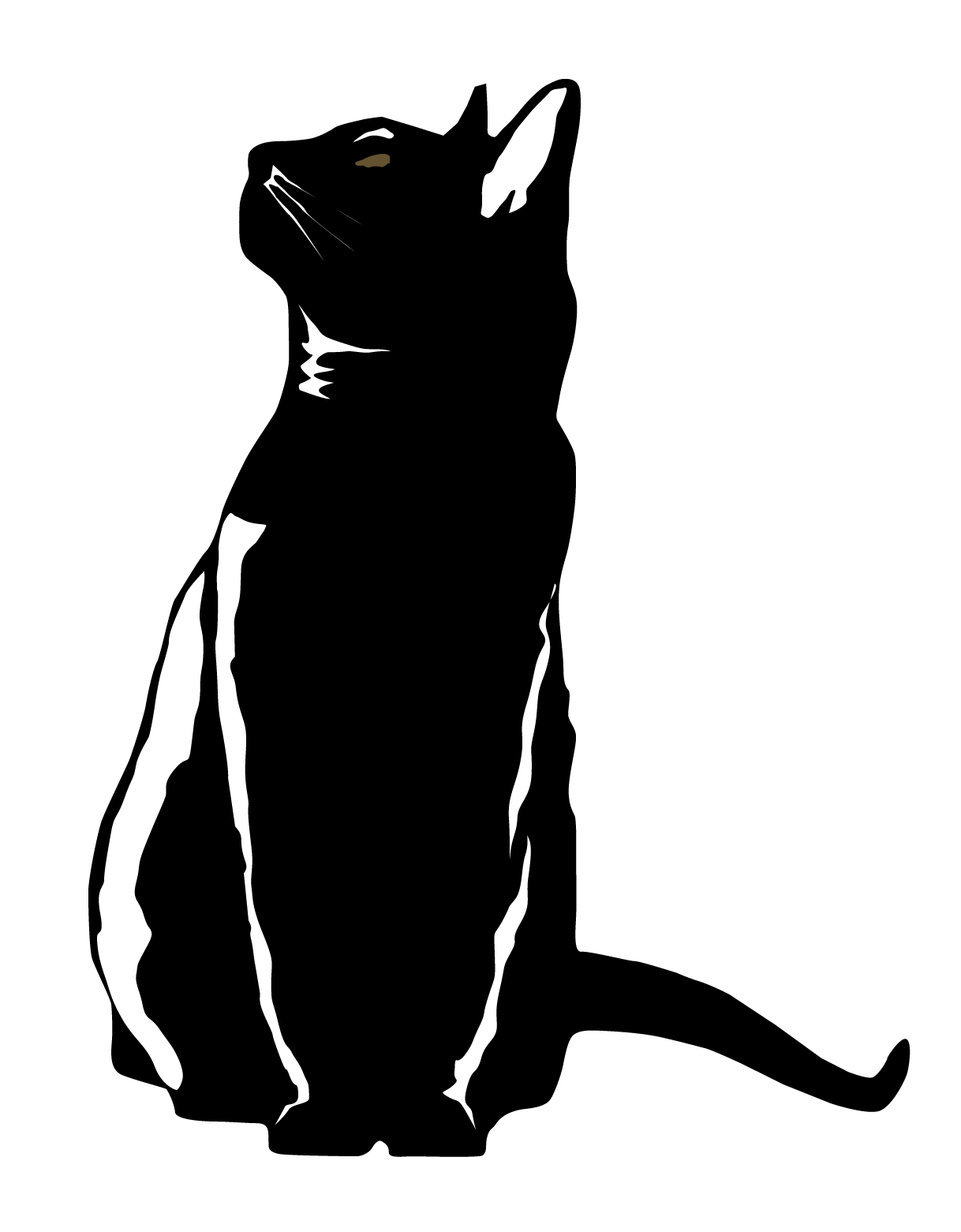 Daryl frame stalking. Shirts clipart pete the cat