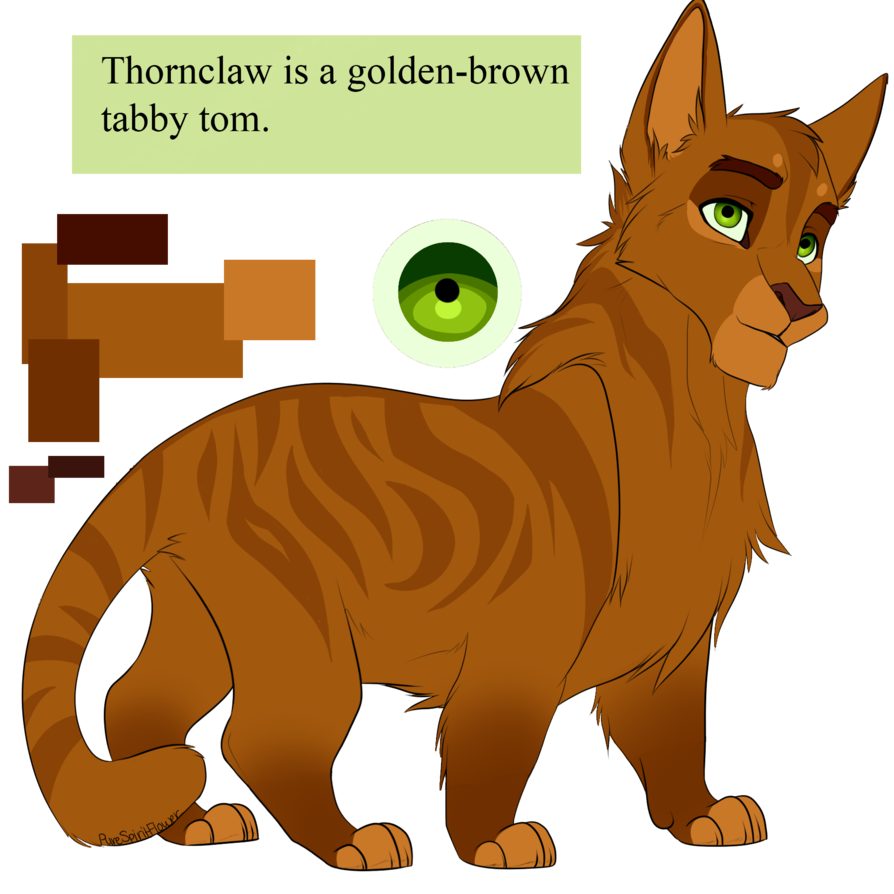 Shirts clipart pete the cat. Thornclaw by purespiritflower deviantart