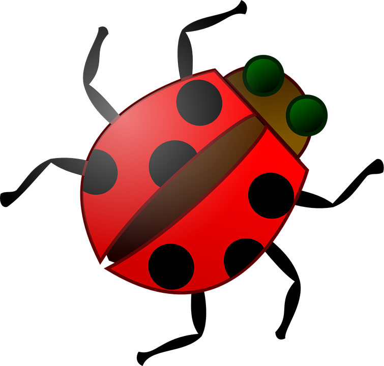 short clipart insect