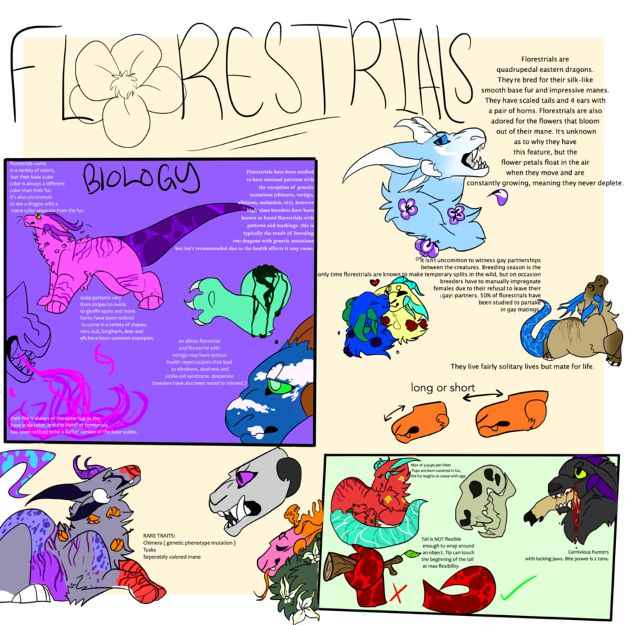 short clipart long short object