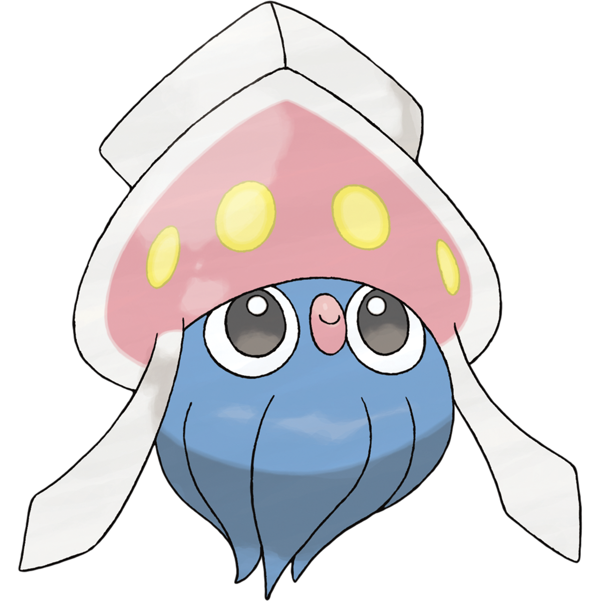 Squid cuttlefish