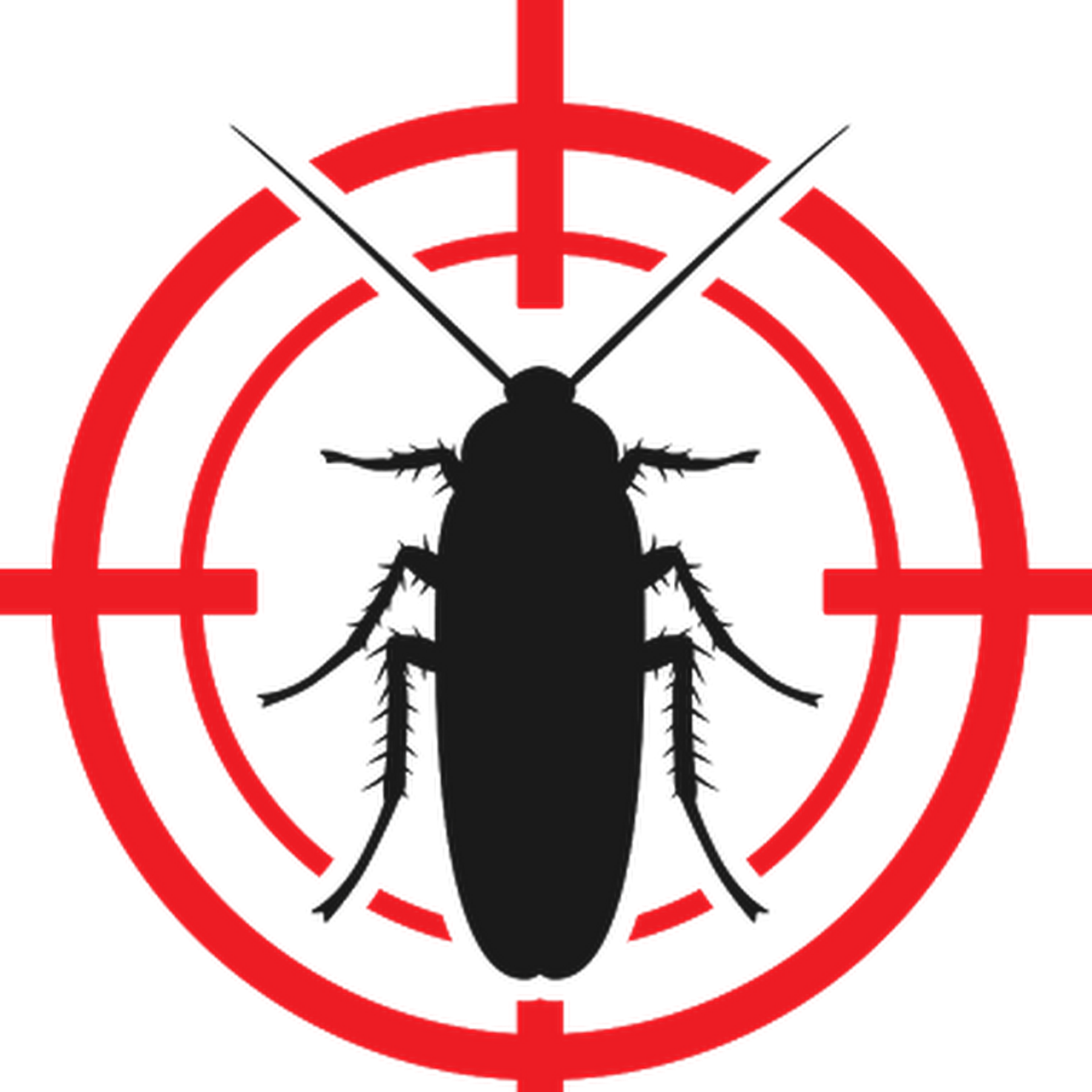 Short clipart red beetle. Waco exterminator things to