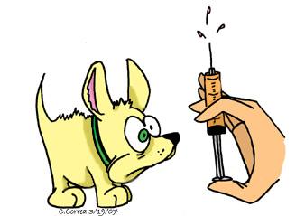 shot clipart dog vaccination