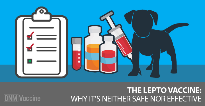 The lepto why vets. Shot clipart rabies vaccine