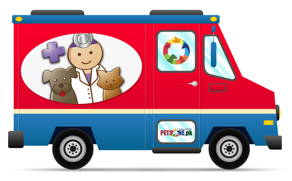 Shot clipart rabies vaccine. Mobile vaccination service for