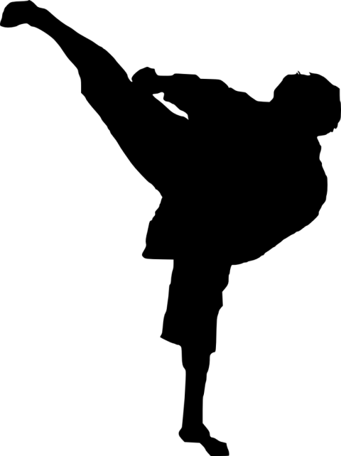 silhouette clipart karate
