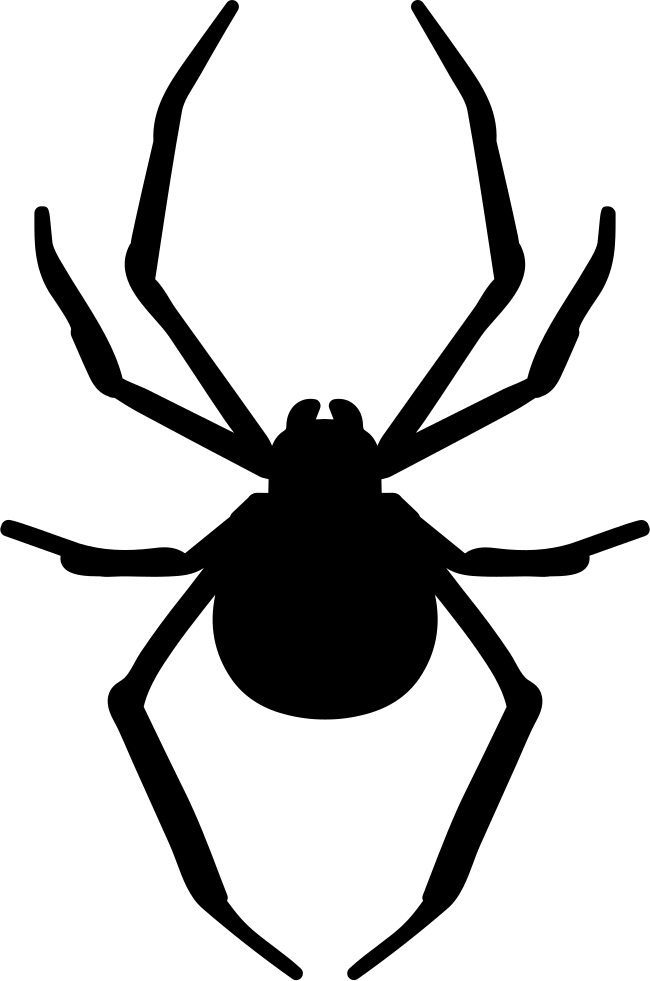 spider clipart coloring