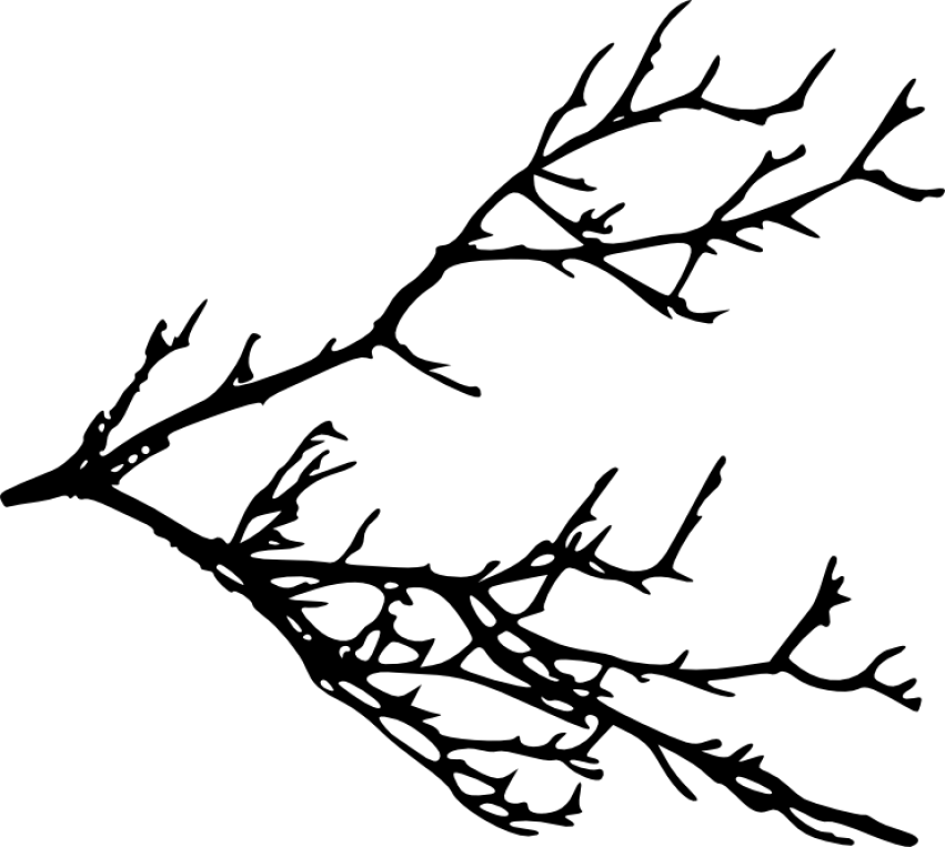 silhouette clipart tree branch