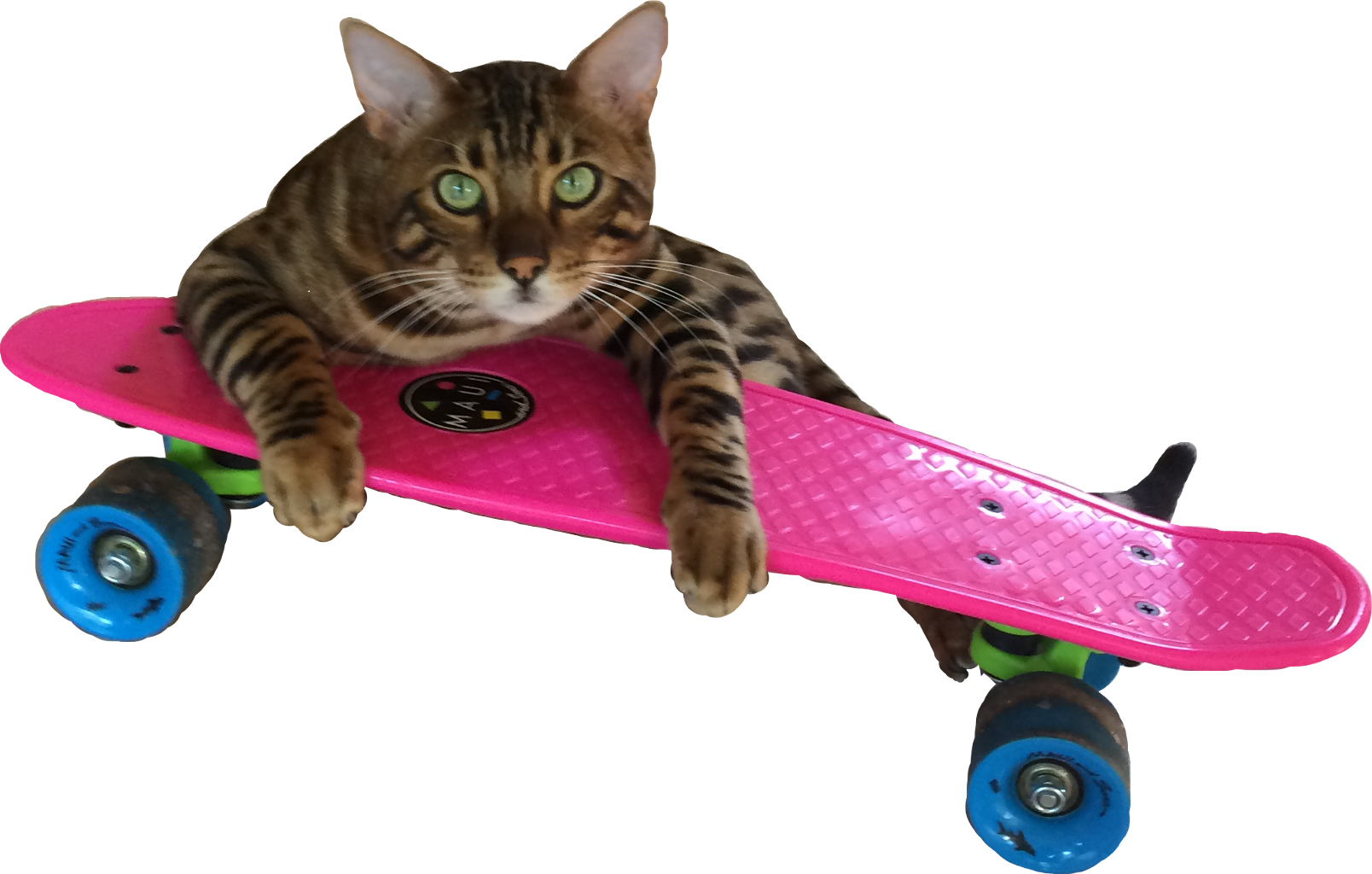 skate clipart penny board