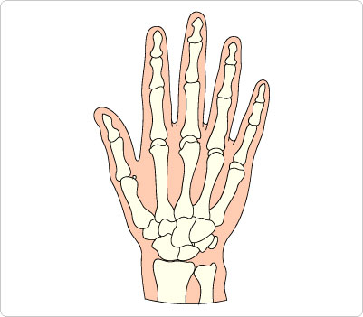 skeleton clipart hand
