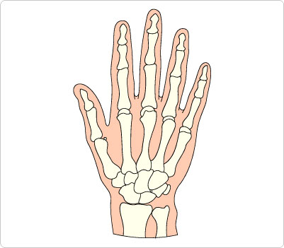 Free cliparts download clip. Skeleton clipart hand