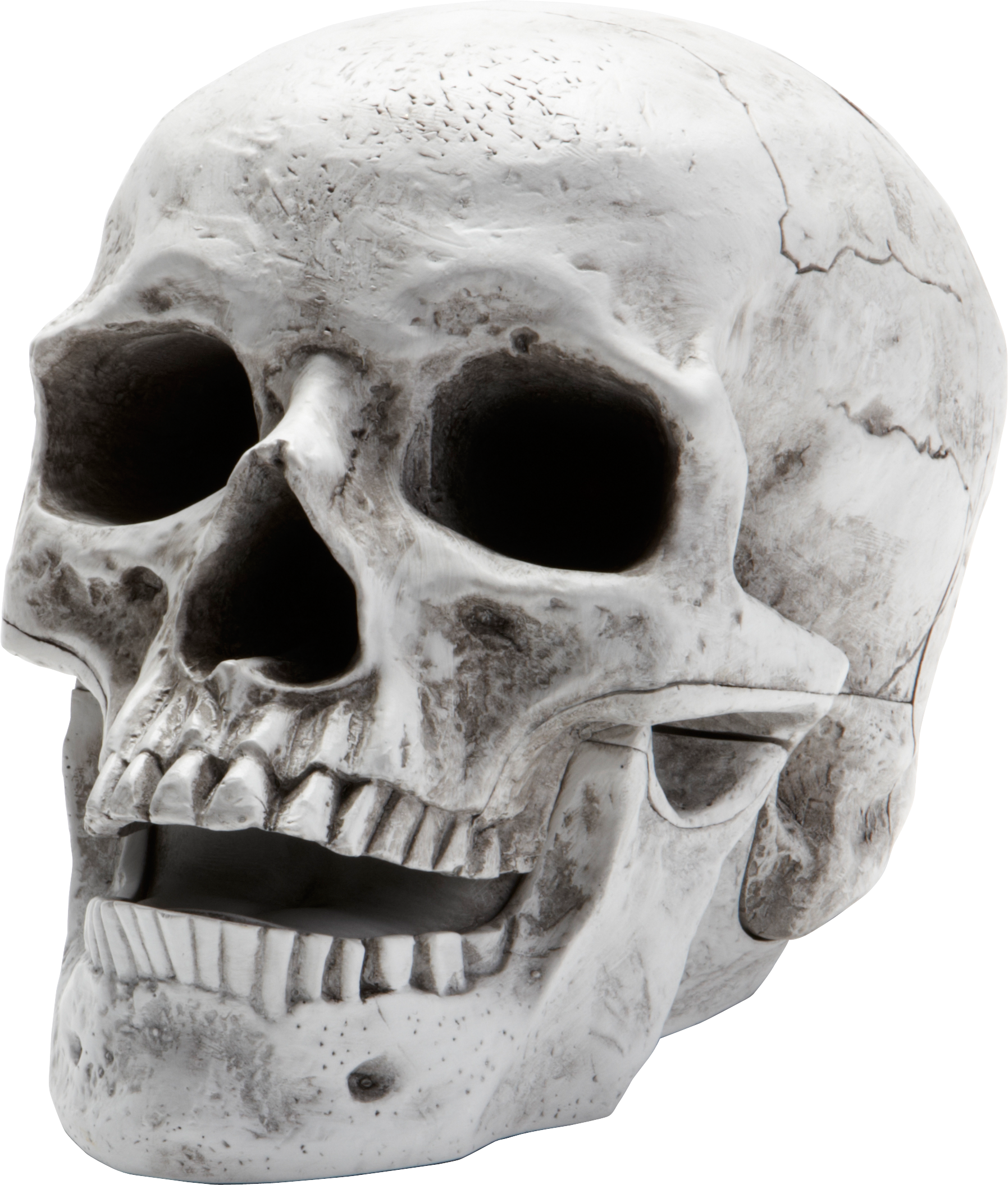skeleton clipart mouth