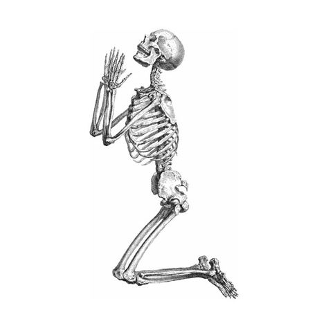 Skeleton clipart public domain. Free halloween clip art