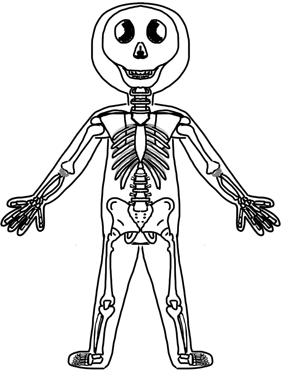 skeleton clipart simple