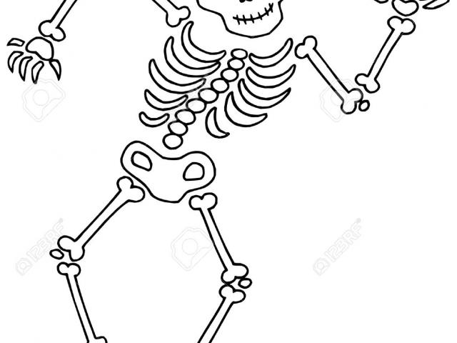 Human making the web. Skeleton clipart strong