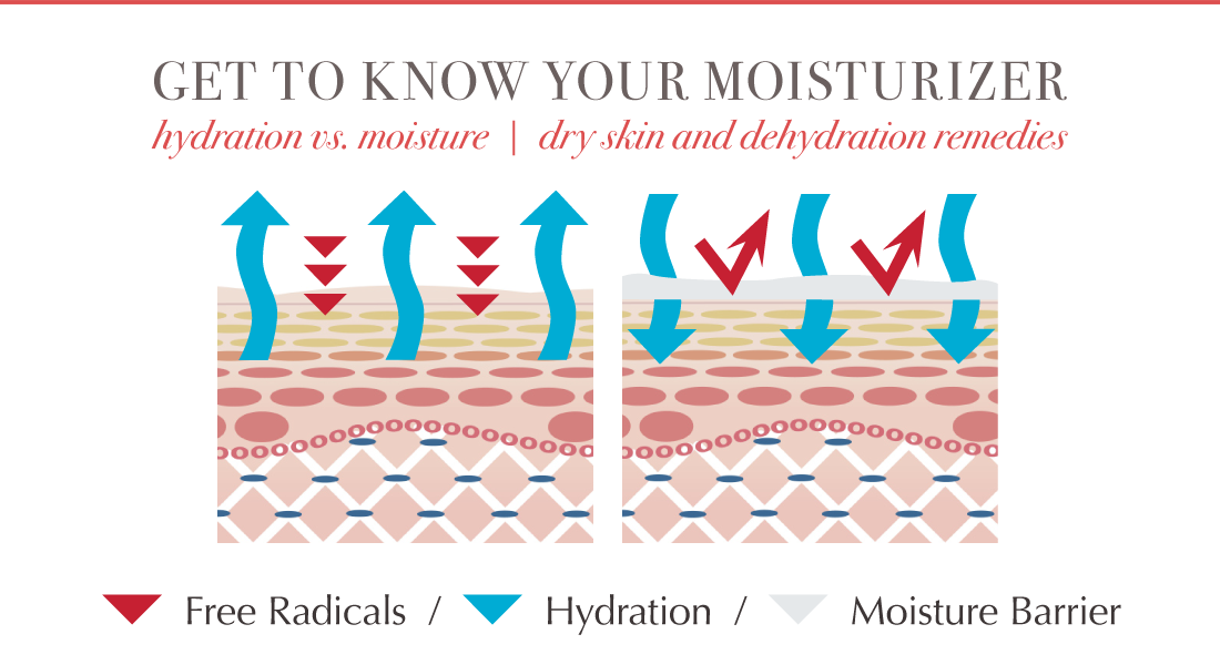 skin clipart dry skin