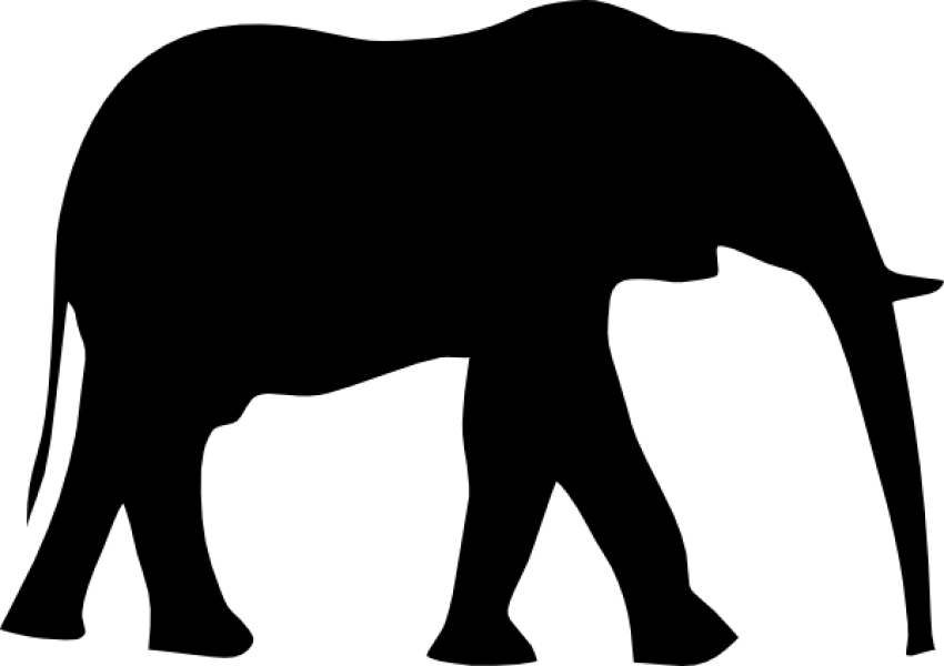 skin clipart elephant