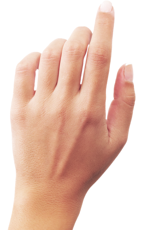 skin clipart hand palm